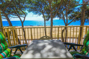 Playmar 204 ONLY Families SOLO Familias